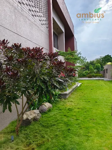 Luxury Garden & Botanical Design